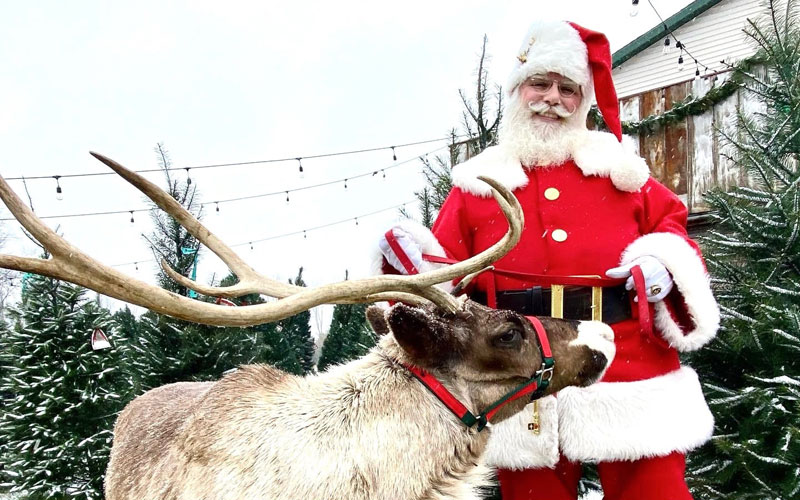 Rooftop Landing Reindeer Farm with Santa holidays