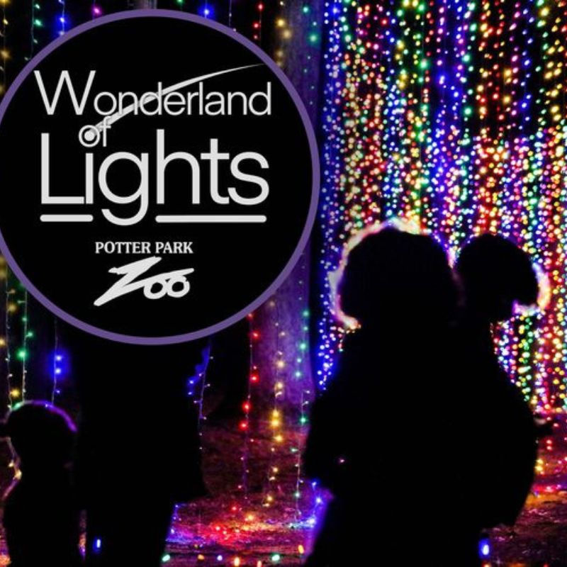 Wonderland of Lights Potter park Zoo