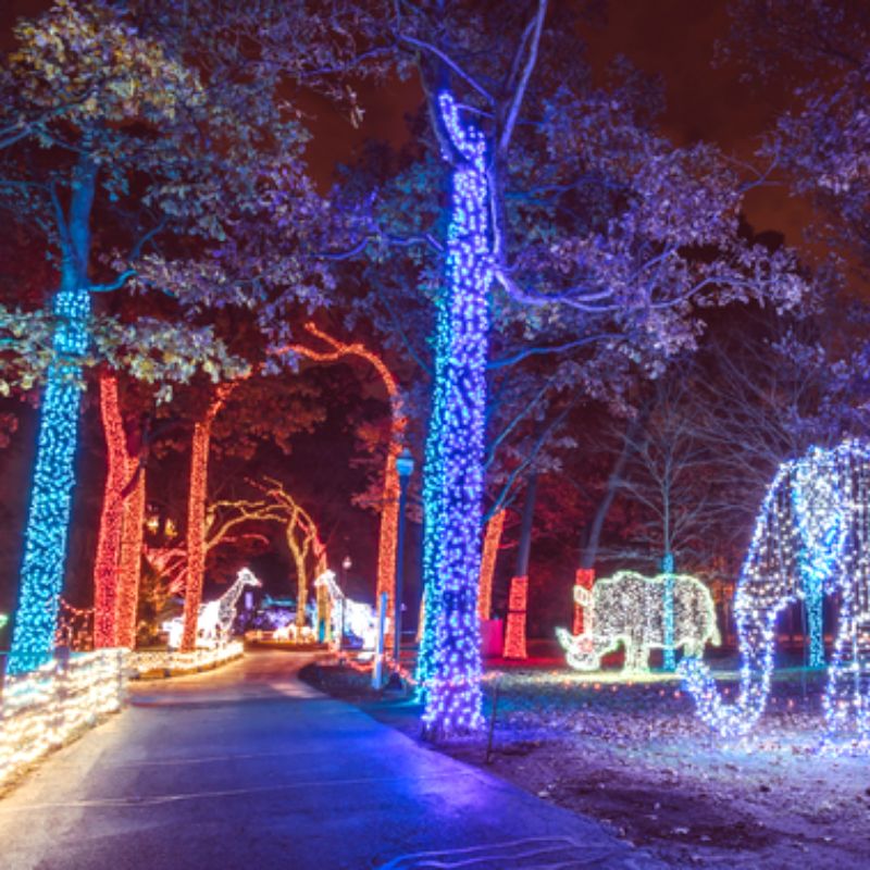 Zoo Lights Detroit Christmas Lights