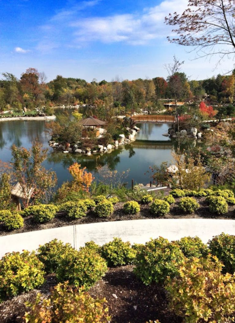 The Japanese Garden At Frederik Meijer Gardens: An Oasis For Peace ...