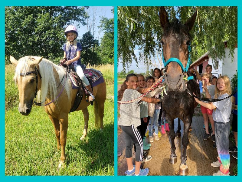 Legacy Stables' 'Own-A-Horse' Camp Summer
