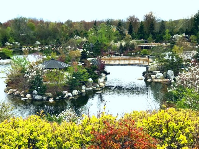 Spring in the Japanese Garden