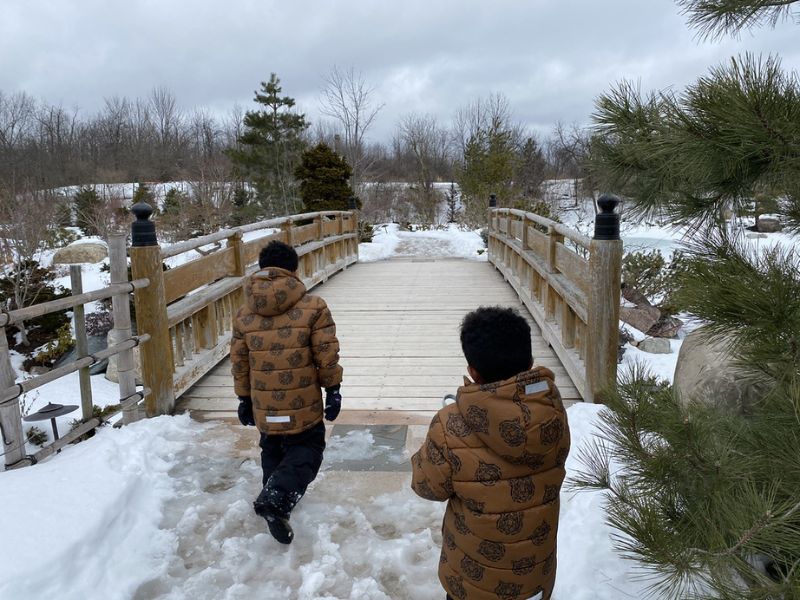 Meijer Gardens Japanese Garden winter