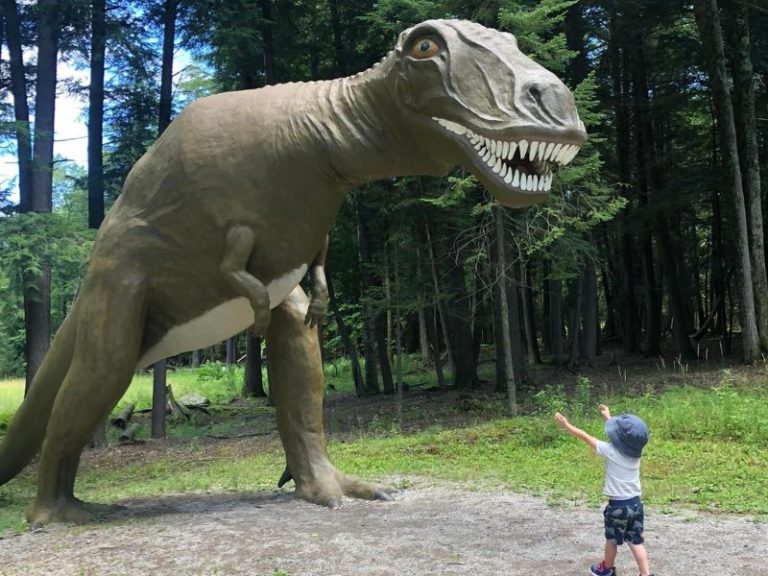 Jurassic! 14 JawDropping Dinosaur Museums, Parks & Dinosaur Exhibits