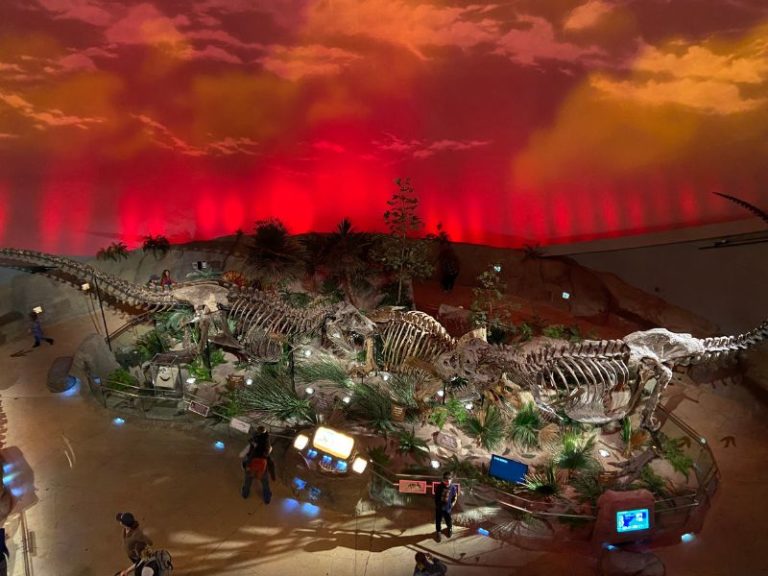 Jurassic! 14 JawDropping Dinosaur Museums, Parks & Dinosaur Exhibits