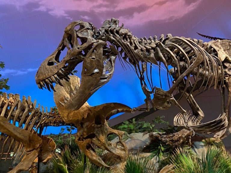 14 JawDropping Dinosaur Museums, Parks & Exhibits in Michigan