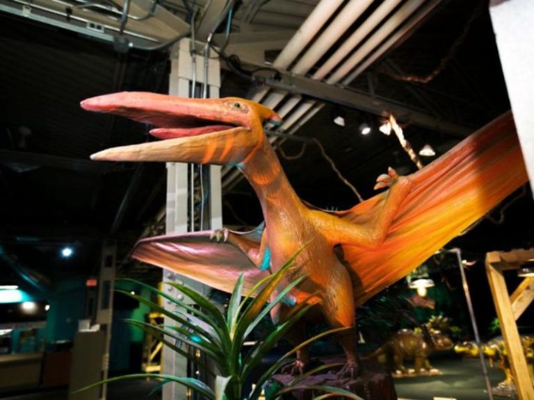 Jurassic! 16 JawDropping Dinosaur Museums, Parks & Dinosaur Exhibits