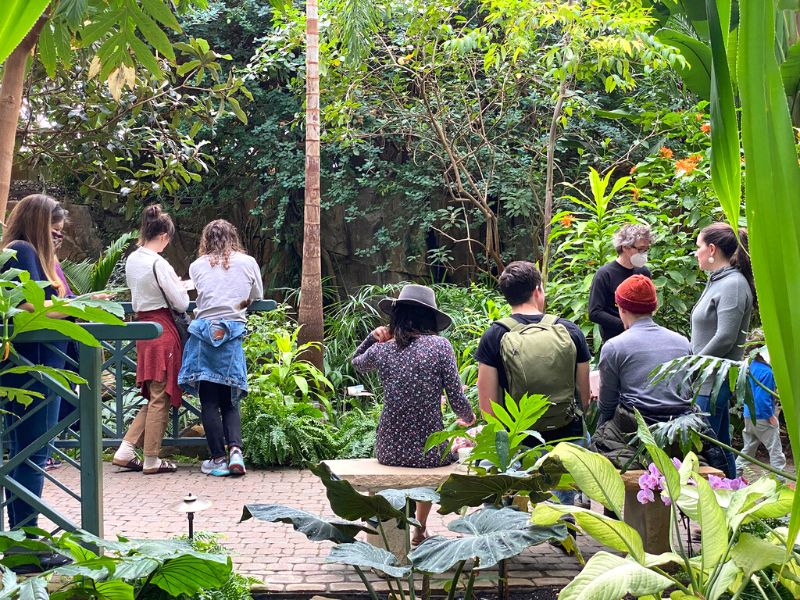 Frederik Meijer Gardens watching Butterflies in the conservatory