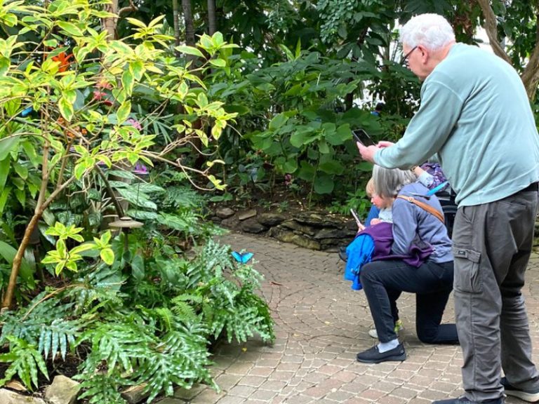 It's Back! Head to Meijer Gardens' Butterflies are Blooming 2024 for a ...