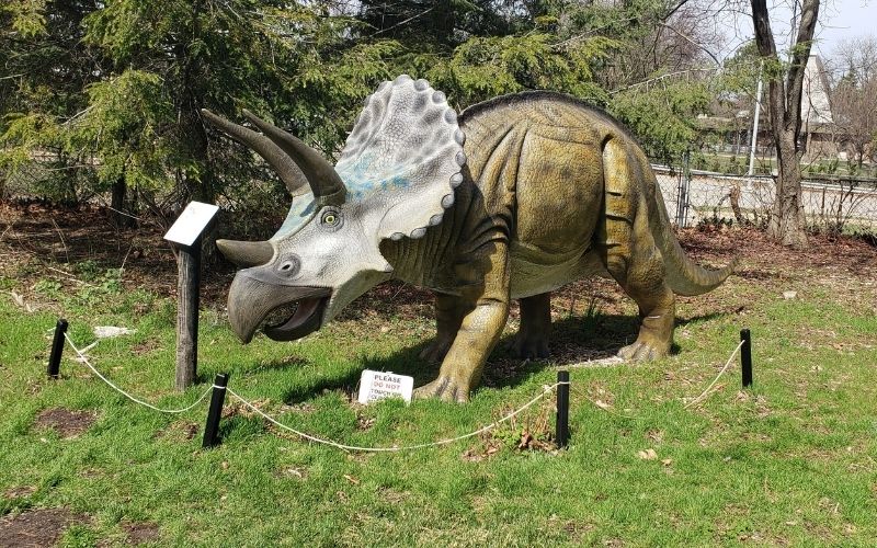 Western Michigan University Dinosaur-Park-Triceratops