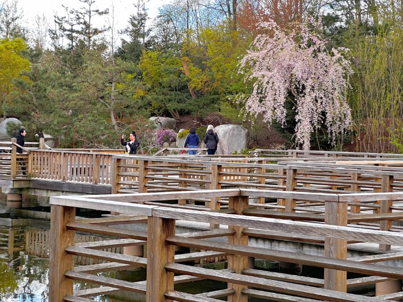 meijer gardens japanese zigzag boardwalk