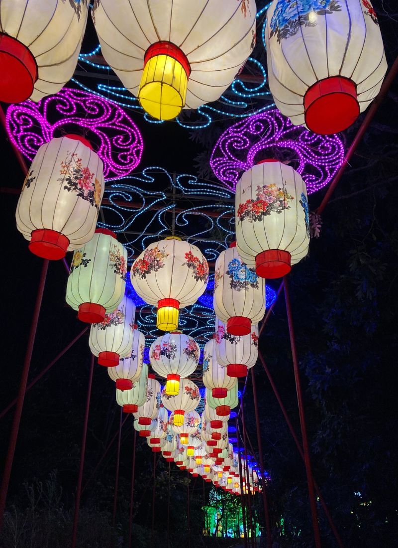 Central Florida Zoo lantern festival