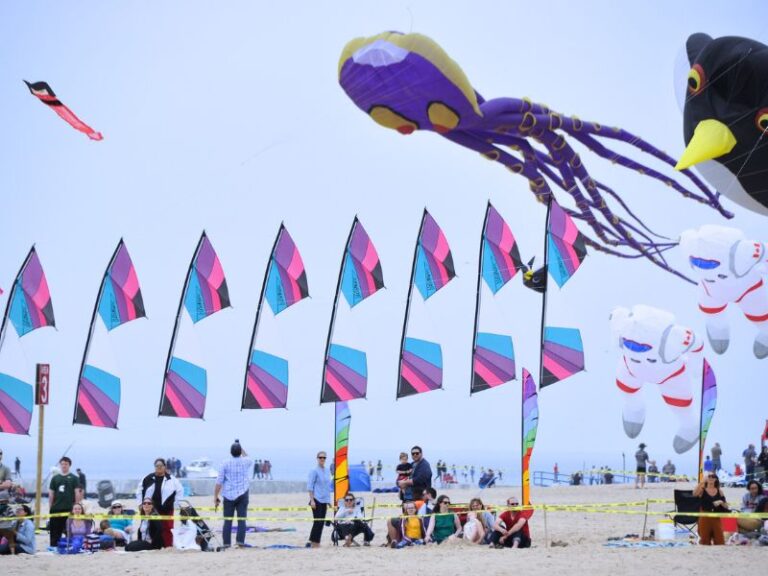 Grand Haven Kite Festival 2024 is HighFlying Fun for Everyone