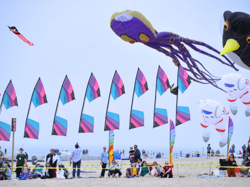 Grand Haven Kite Festival - Large Kites