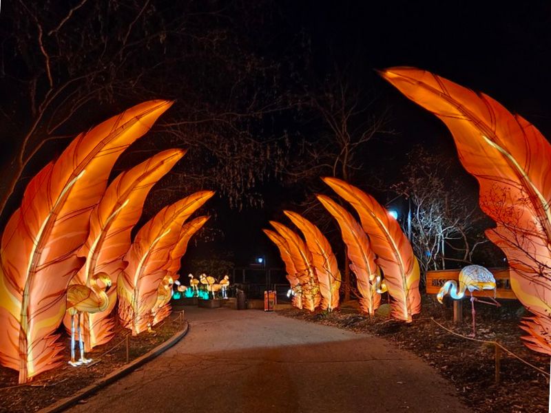 Grand Rapids Lantern Festival Flamingo Feather Tunnel