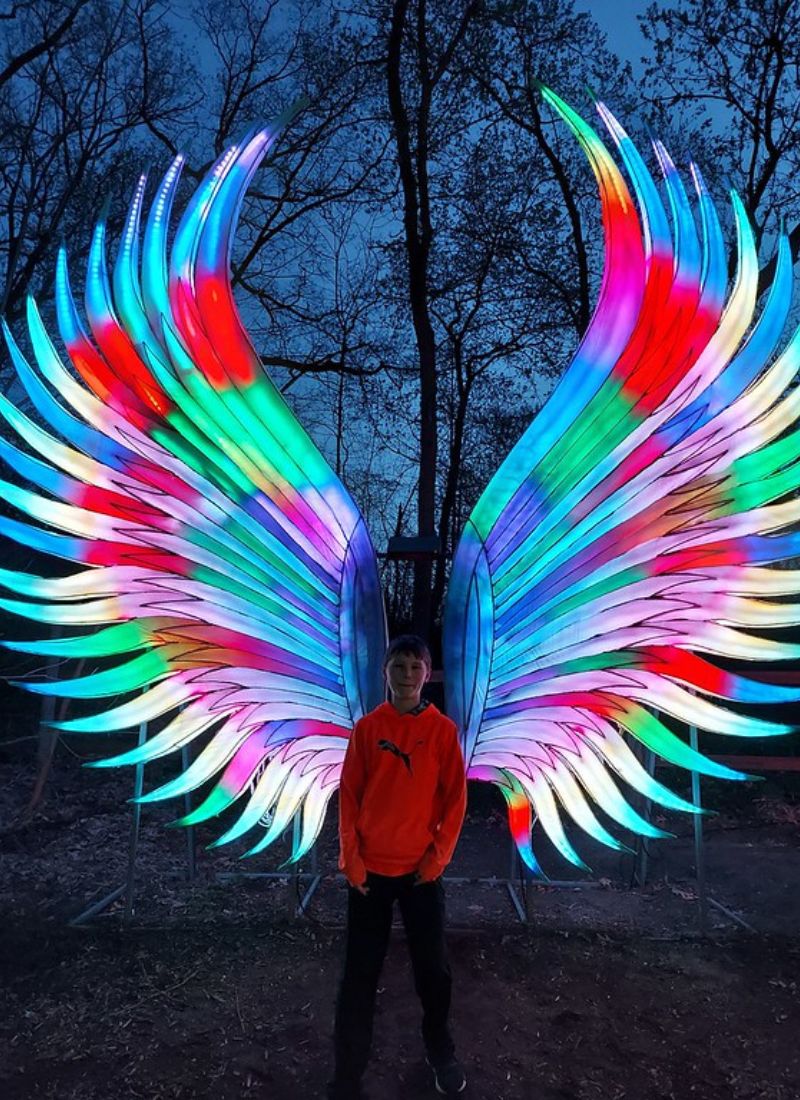 Grand Rapids Lantern Festival GLowing wings