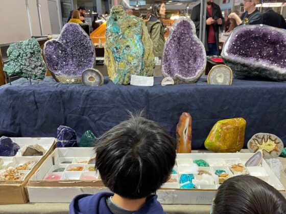 Indian Mounds Rock & Mineral show