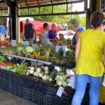 2024 Farmers Markets in West Michigan: When & Where to Find the Freshest Farm Finds