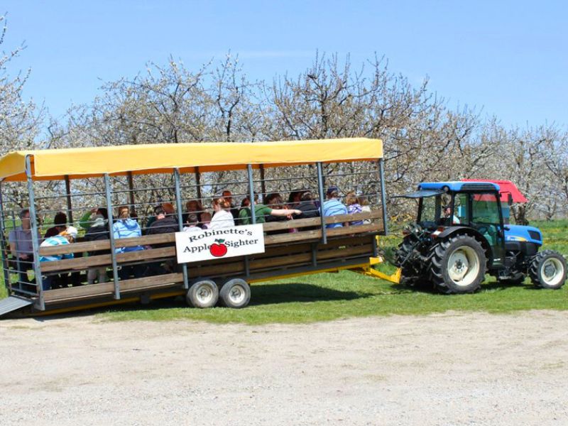 Robinette's in the wagon ride blossoms in the springtime