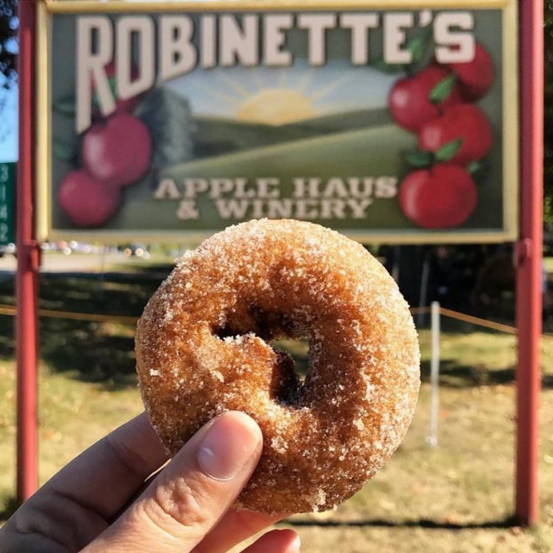 Robinette's donut