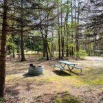 Incredible South Haven Campgrounds: Find Your 2024 Outdoor Retreat at these Campgrounds in Southwest Michigan