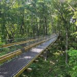 The MSU Canopy Walk at Hidden Lake Gardens Near Ann Arbor is Now Open – And it’s Accessible