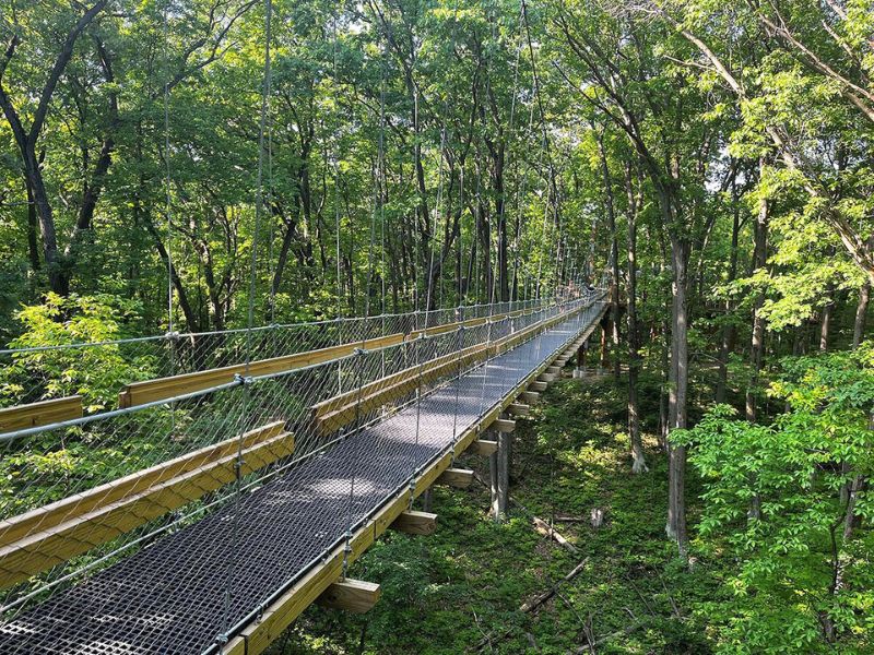 MSU Canopy Walk at Hidden Lakes Gardens Michigan