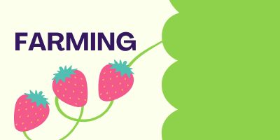 Strawberry Farms Farming Practices Organic