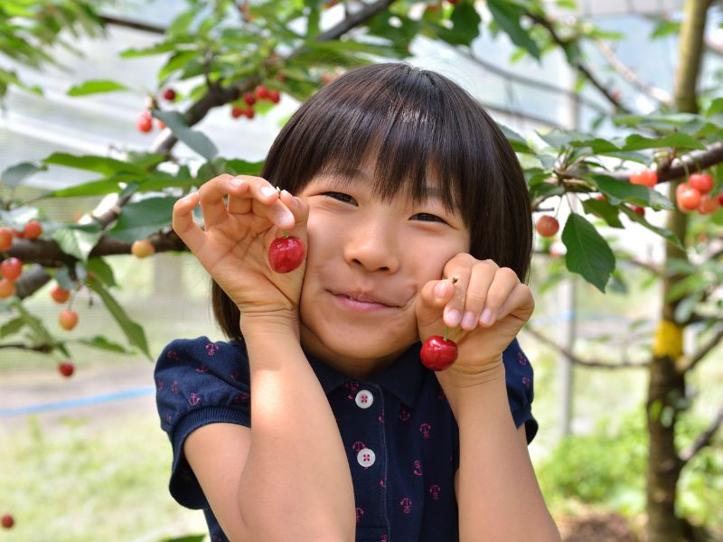 girl with upick cherries