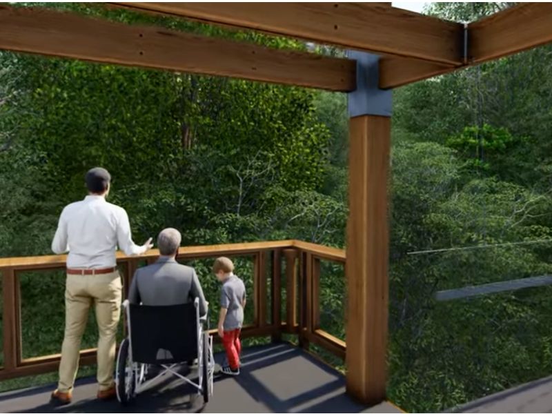 msu hidden lake gardens canopy walk is wheelchair accessible