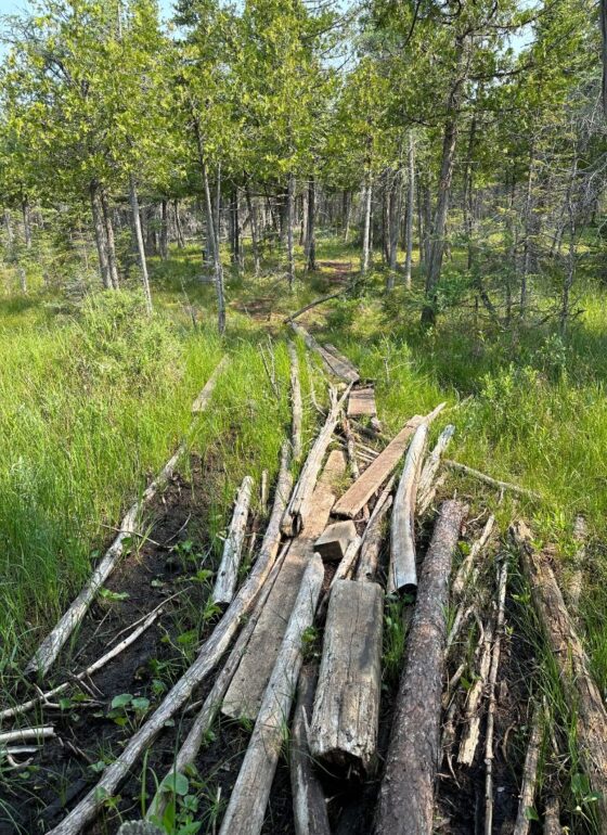 Narnia Trail Michigan 2024 A Magical Michigan Hiking Experience