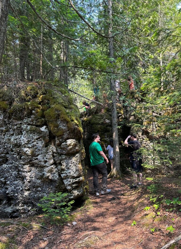 Narnia Trail Michigan 2024 A Magical Michigan Hiking Experience