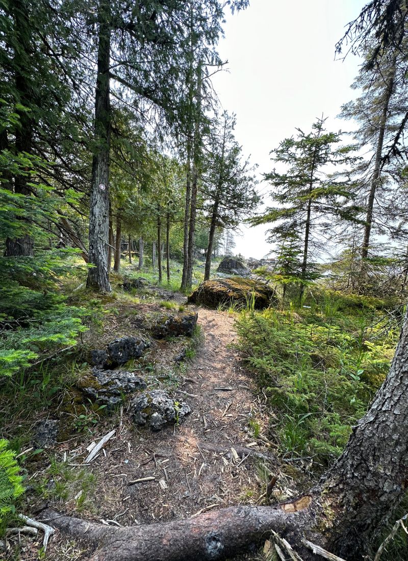Narnia Trail Michigan 