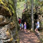 Narnia Trail Michigan 2024: A Magical Michigan Hiking Experience