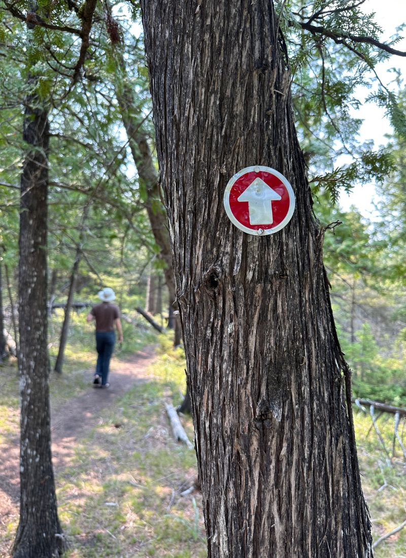 Red arrow signs mark the Narnia Trail in Cedarville Michigan