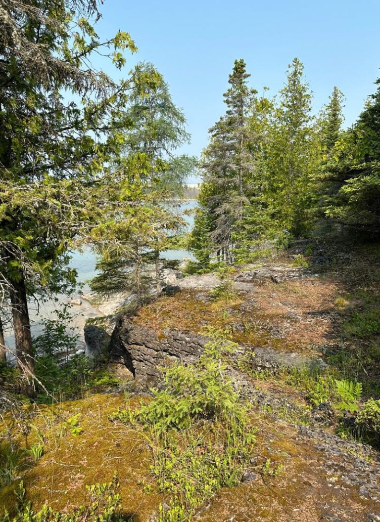 Narnia Trail Michigan 2024 A Magical Michigan Hiking Experience