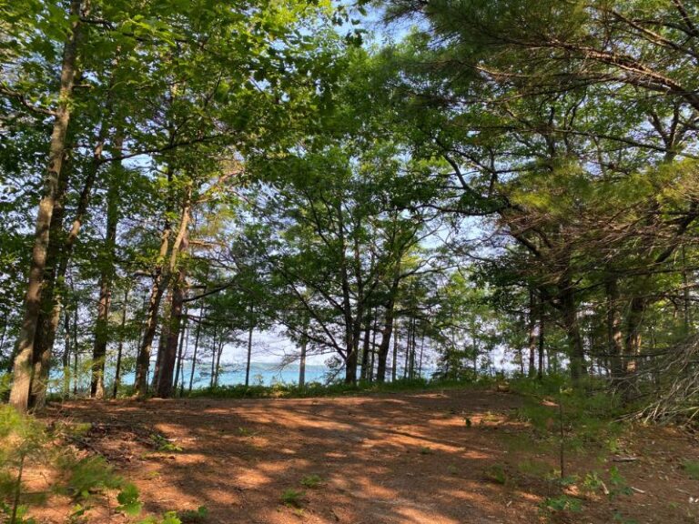 Traverse City's Maple Bay Beach The Short Hike through Maple Bay