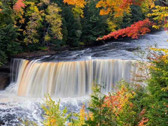 Experiencing Tahquamenon Falls State Park in 2024: Waterfalls, Hikes ...