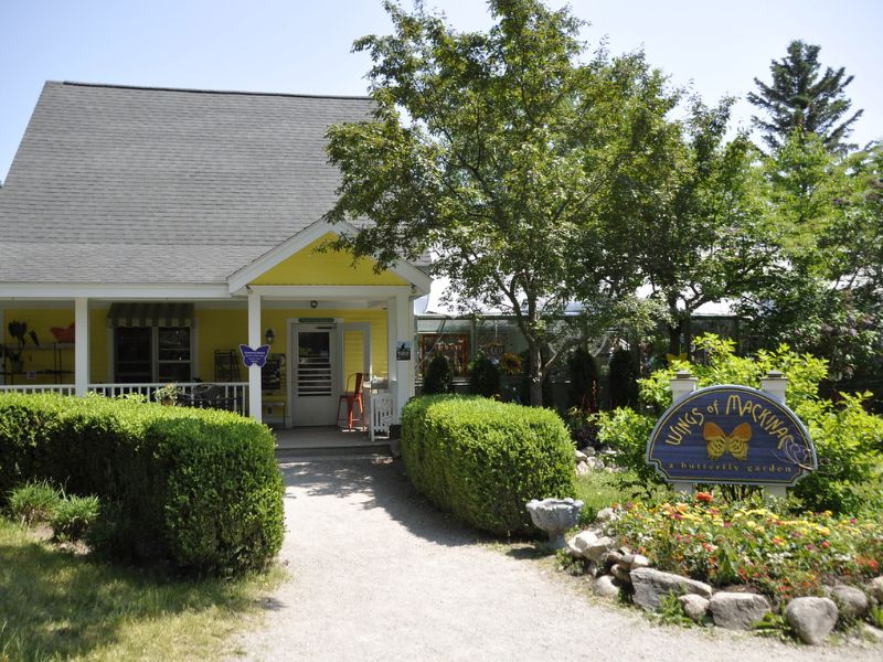 Wings of Mackinac Butterfly House