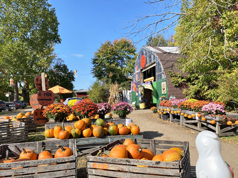 Carver's Apple Orchard, How to Layer For Fall