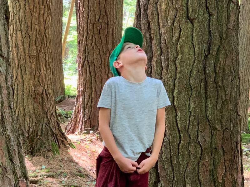 boy at Hartwick Pines State Park 