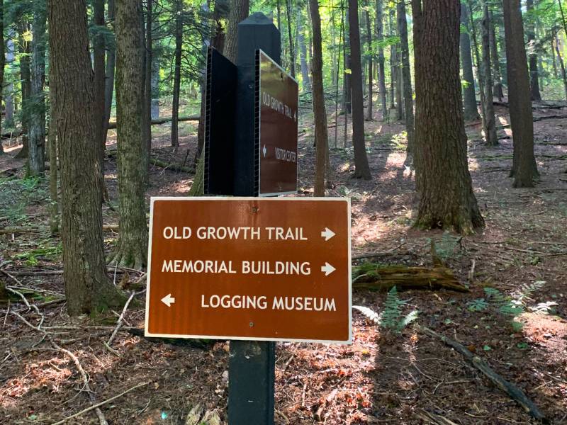 signs at Hartwick Pines State Park