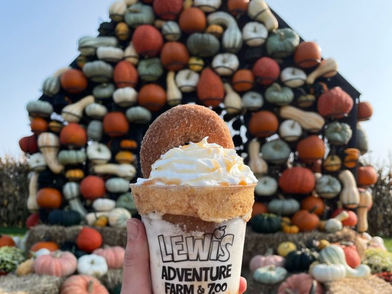 Pumpkin house at lewis adventure farm