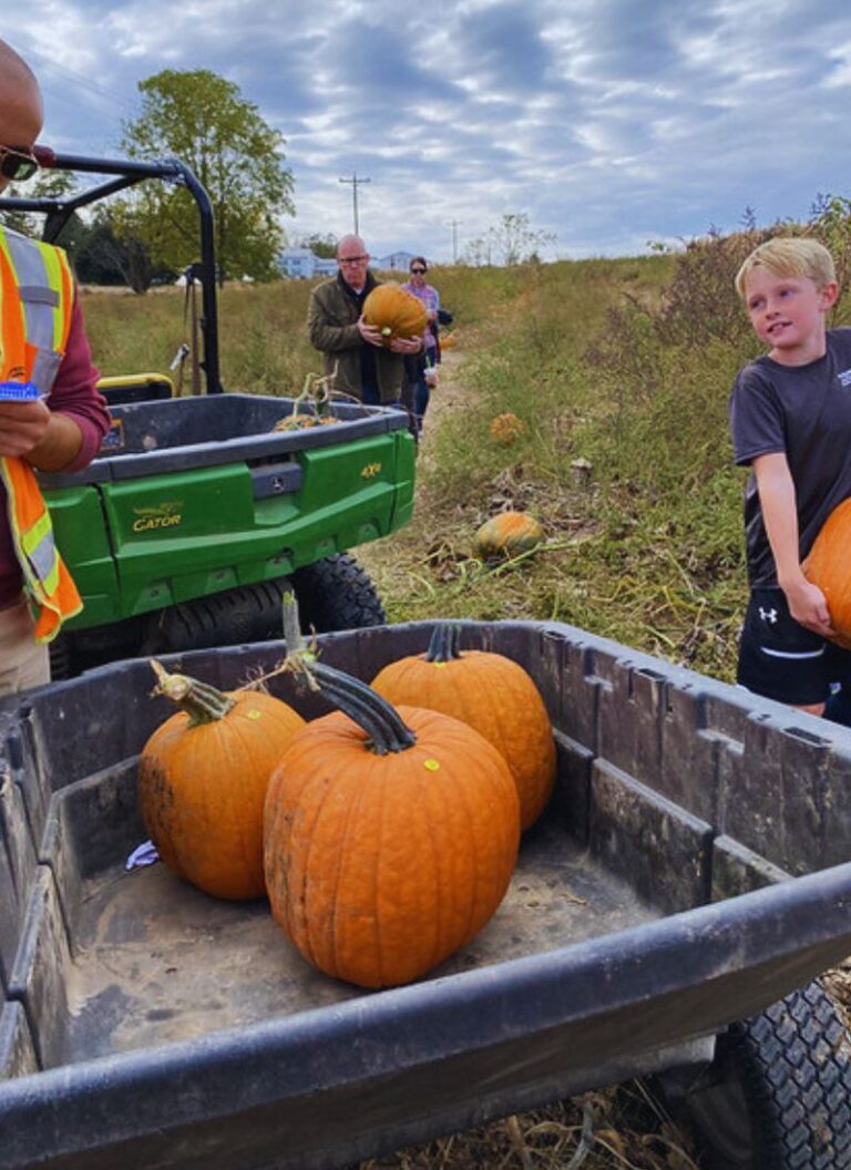 This 1Hour Drive Hits 3 Covered Bridges, a Donut Stop with Hard Cider
