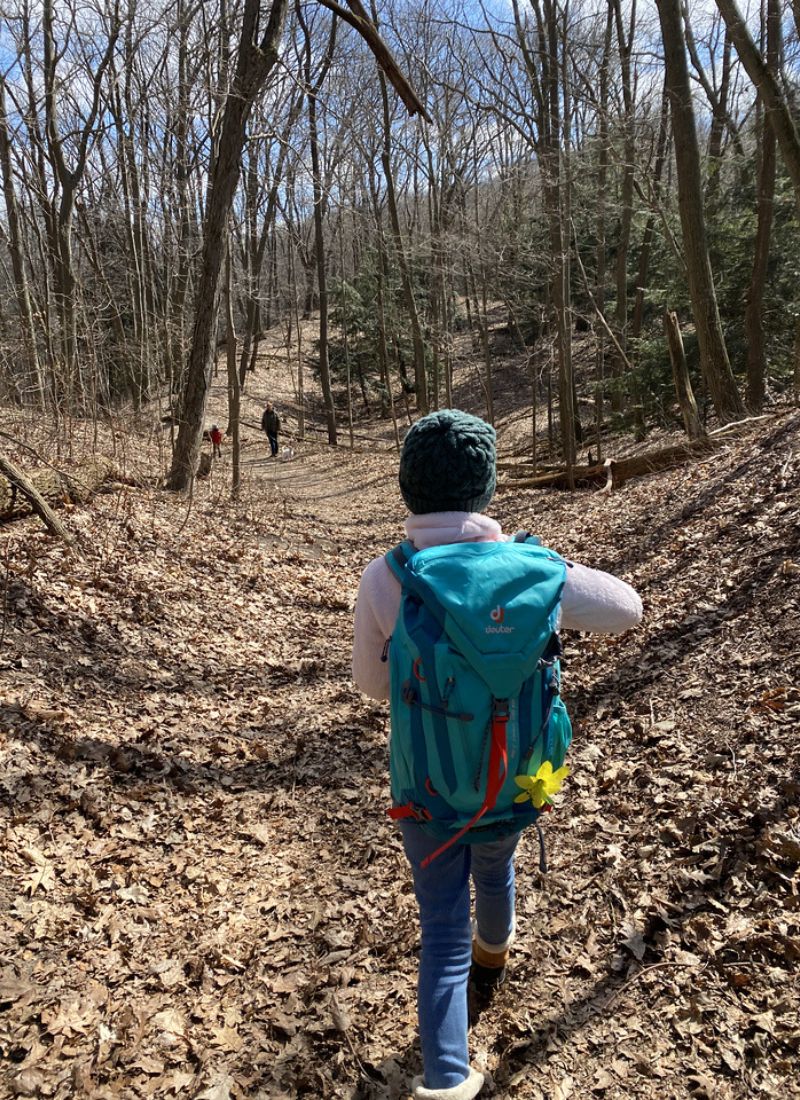 Saugatuck Dunes State Park trails in the spring - Hunt