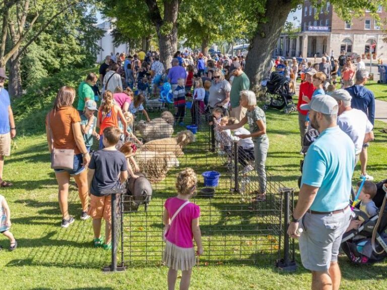 30 of the Best Fall Festivals in Michigan for 2024