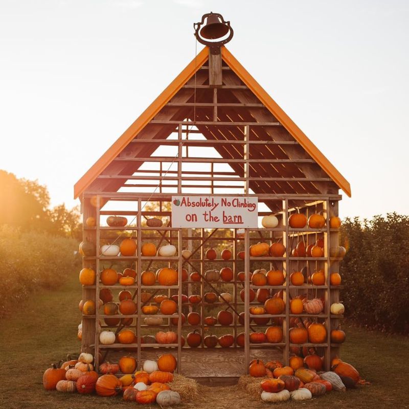 cranes orchards pumpkin barn