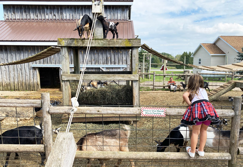 Anderson-and-Girls-farm-goats