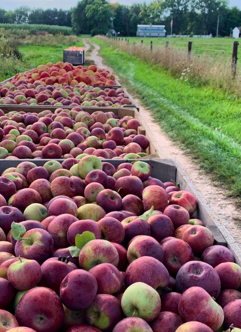 Farmhaus Farm Apples Grand Rapids