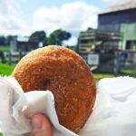 Cider Mills & Donuts: 60+ Michigan Farms with the Best Fall Treats